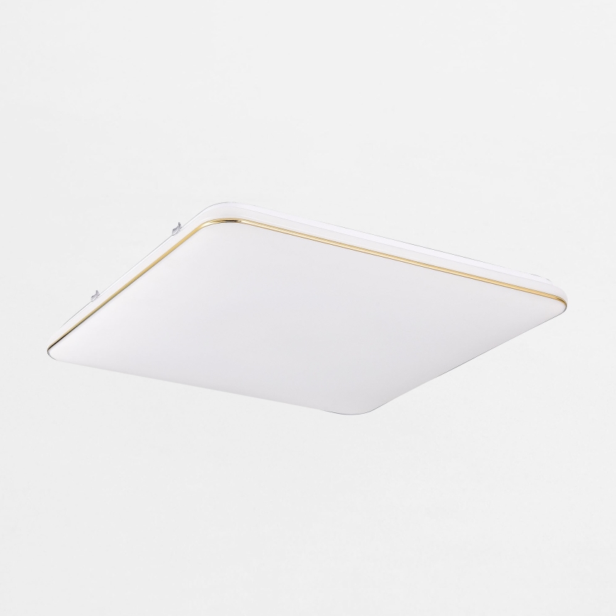 Zuma Line - Dimmbare LED-Deckenleuchte LED/48W/230V 53x53 cm golden