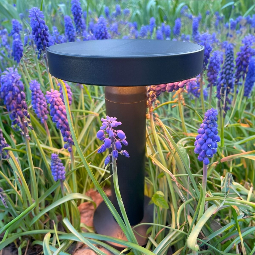 Zuma Line - Dimmbare, aufladbare LED-Solar-Tischleuchte LED/2W/2000 mAh IP44 schwarz