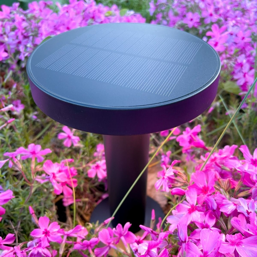 Zuma Line - Dimmbare, aufladbare LED-Solar-Tischleuchte LED/2W/2000 mAh IP44 schwarz