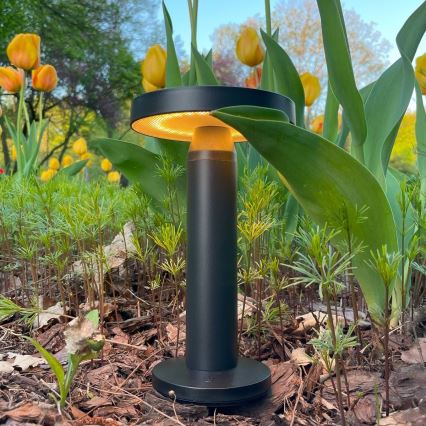 Zuma Line - Dimmbare, aufladbare LED-Solar-Tischleuchte LED/2W/2000 mAh IP44 schwarz