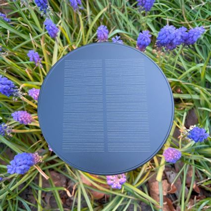 Zuma Line - Dimmbare, aufladbare LED-Solar-Tischleuchte LED/2W/2000 mAh IP44 schwarz
