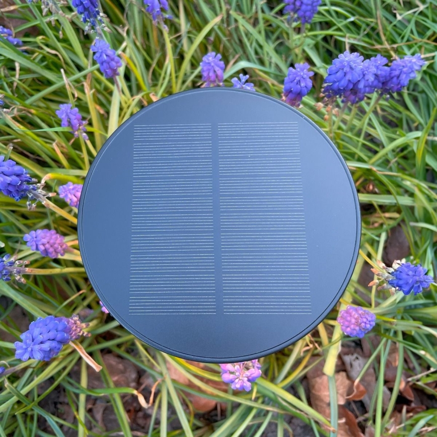 Zuma Line - Dimmbare, aufladbare LED-Solar-Tischleuchte LED/2W/2000 mAh IP44 schwarz