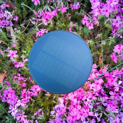 Zuma Line - Dimmbare, aufladbare LED-Solar-Tischleuchte LED/2W/2000 mAh IP44 schwarz