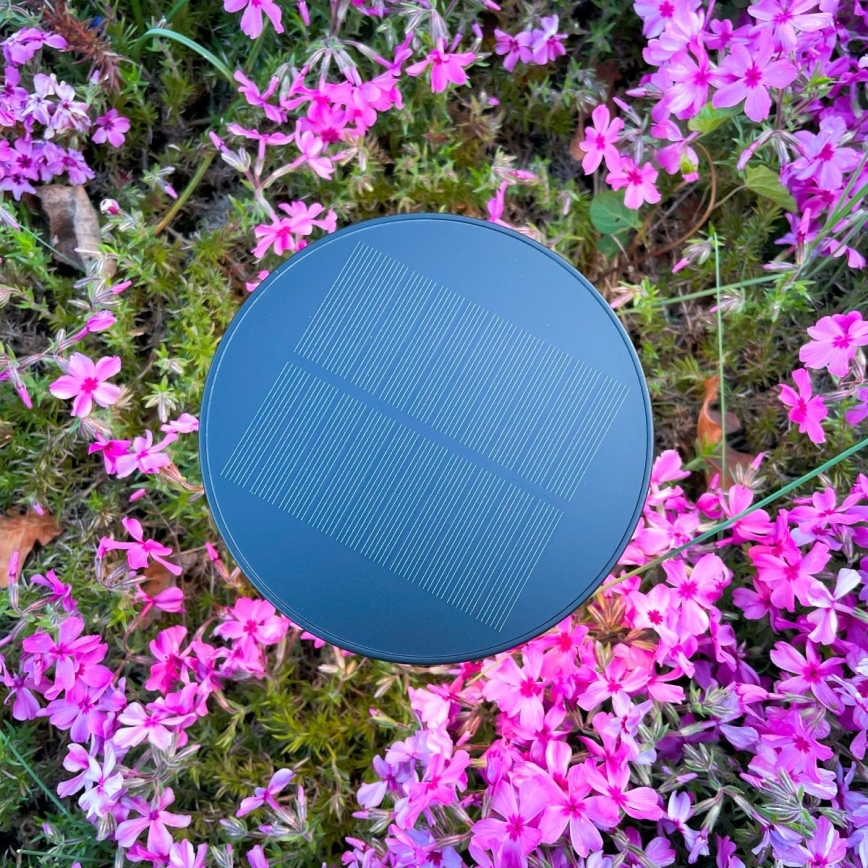 Zuma Line - Dimmbare, aufladbare LED-Solar-Tischleuchte LED/2W/2000 mAh IP44 schwarz