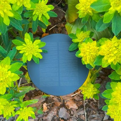 Zuma Line - Dimmbare, aufladbare LED-Solar-Tischleuchte LED/2W/2000 mAh IP44 schwarz