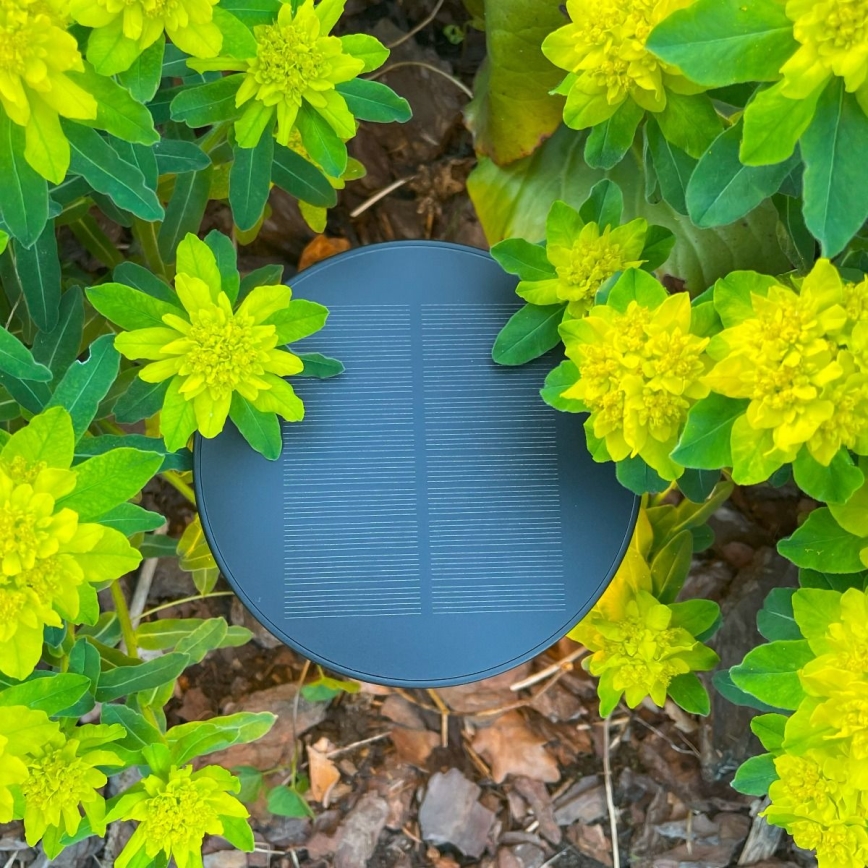 Zuma Line - Dimmbare, aufladbare LED-Solar-Tischleuchte LED/2W/2000 mAh IP44 schwarz