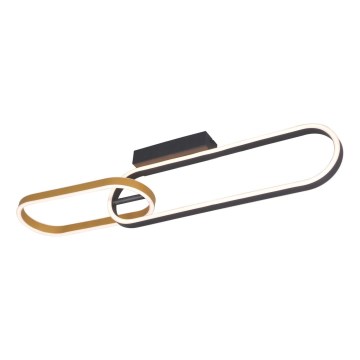 Zuma Line - LED Deckenleuchte 2xLED/24W/230V schwarz/gold