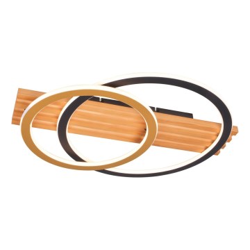 Zuma Line - LED Deckenleuchte LED/40W/230V