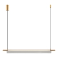 Zuma Line - LED-Pendelleuchte an Kabel LED/14W/230V gold
