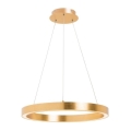 Zuma Line - LED-Pendelleuchte an Kabel LED/40W/230V Ø 50 cm goldfarben