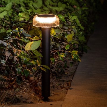 Zuma Line - LED-Solarleuchte LED/2,5W/2000 mAh IP44 schwarz