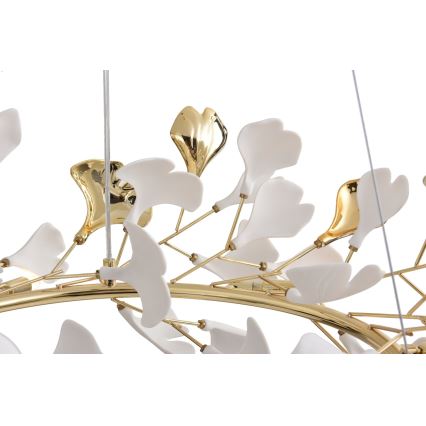 Zuma Line - Kronleuchter mit Kabelaufhängung 6xG9/42W/230V Ø 74 cm goldfarben