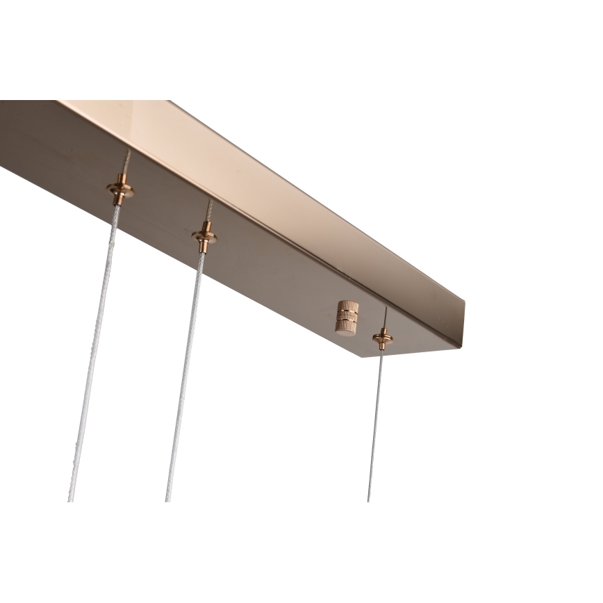 Zuma Line - LED-Hängeleuchte an Kabel LED/36W/230V Roségold