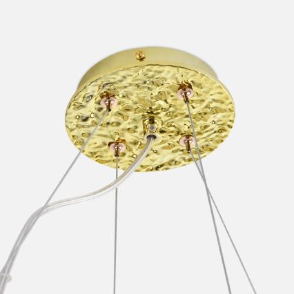 Zuma Line - Pendelleuchte mit Drahtseilaufhängung 14xG9/3,5W/230V 115x40 cm goldfarben