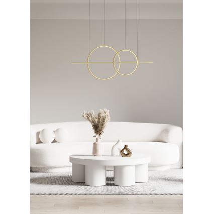 Zuma Line - LED dimmbare Hängeleuchte an Kabel LED/34W/230V gold