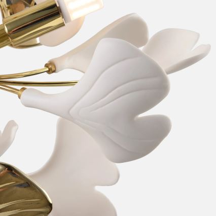 Zuma Line - Aufgesetzter Kronleuchter 6xG9/42W/230V Ø 70 cm goldfarben