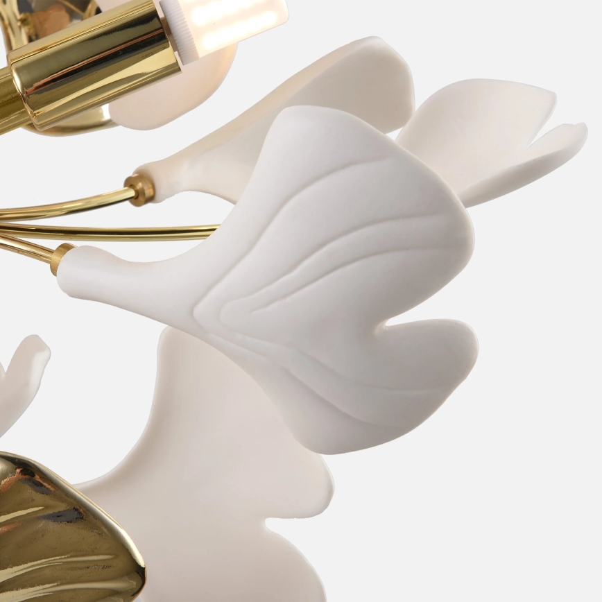 Zuma Line - Aufgesetzter Kronleuchter 6xG9/42W/230V Ø 70 cm goldfarben