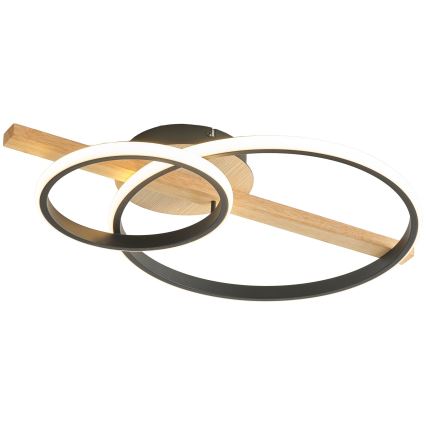 Zuma Line - LED dimmbare Deckenleuchte LED/17W/230V