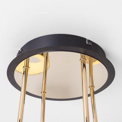 Zuma Line - LED-dimmbare Aufbau-Deckenleuchte LED/60W/230V gold/schwarz