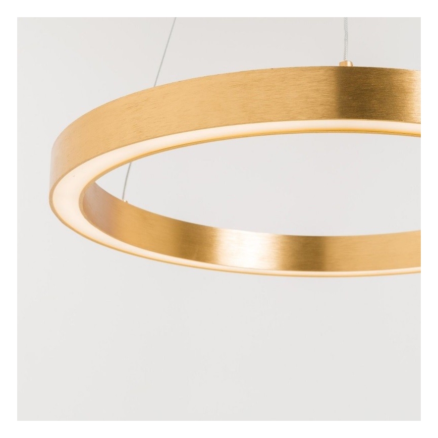Zuma Line - LED-Kronleuchter an Schnur 1xLED/40W/230V d. 50 cm gold