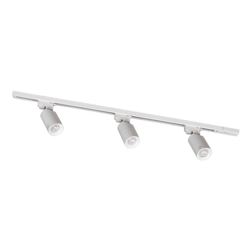 Zuma Line - Strahler für Schienensystem 3x GU10/35W/230V, weiß